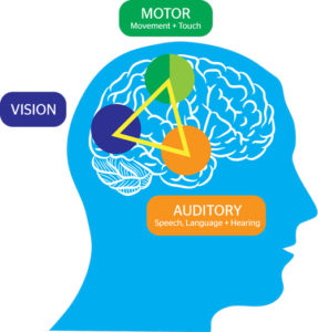 Multi-sensory Learning 2 - Vision And Sensory Center